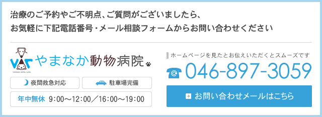 やまなか動物病院 診療時間 9:00~12:00 16:00~19:00 時間外診療ご希望の場合は、電話連絡後にご来院ください。定休日:不定休 ホームページを見たとお伝えください 046-897-3059 お問い合わせはこちら