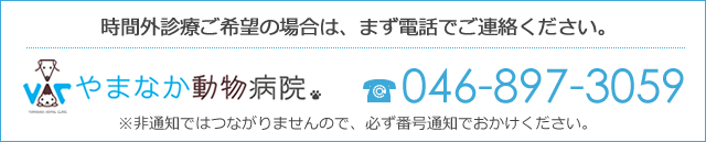 時間外診療ご希望の場合は、まず電話でご連絡ください。 TEL.046-897-3059