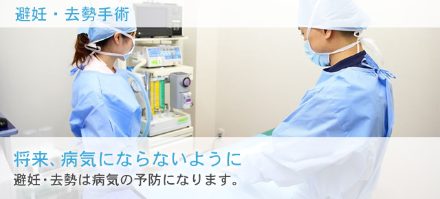 将来、病気にならないように 避妊・去勢は病気の予防になります。