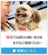 定期的な健康診断を行えば、より安心した暮らしが待っています！ 詳細はこちら