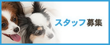 スタッフ募集