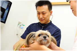 腫瘍の治療にも力を入れています